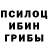 Псилоцибиновые грибы Psilocybine cubensis brat bratuhaa