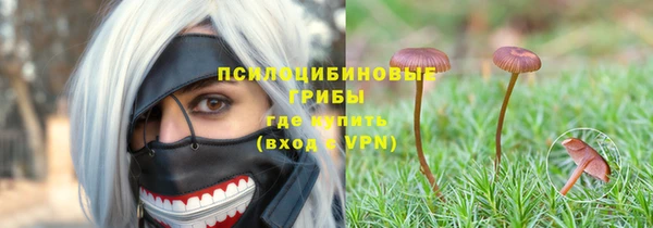 соль курить ск Михайловск