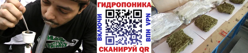Каннабис индика как найти Домодедово